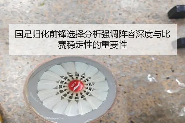 国足归化前锋选择分析强调阵容深度与比赛稳定性的重要性